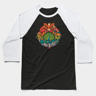 Aerial Rainbow Baseball T-Shirt